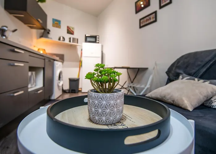 So Rez De Chaussee Centre-ville 公寓